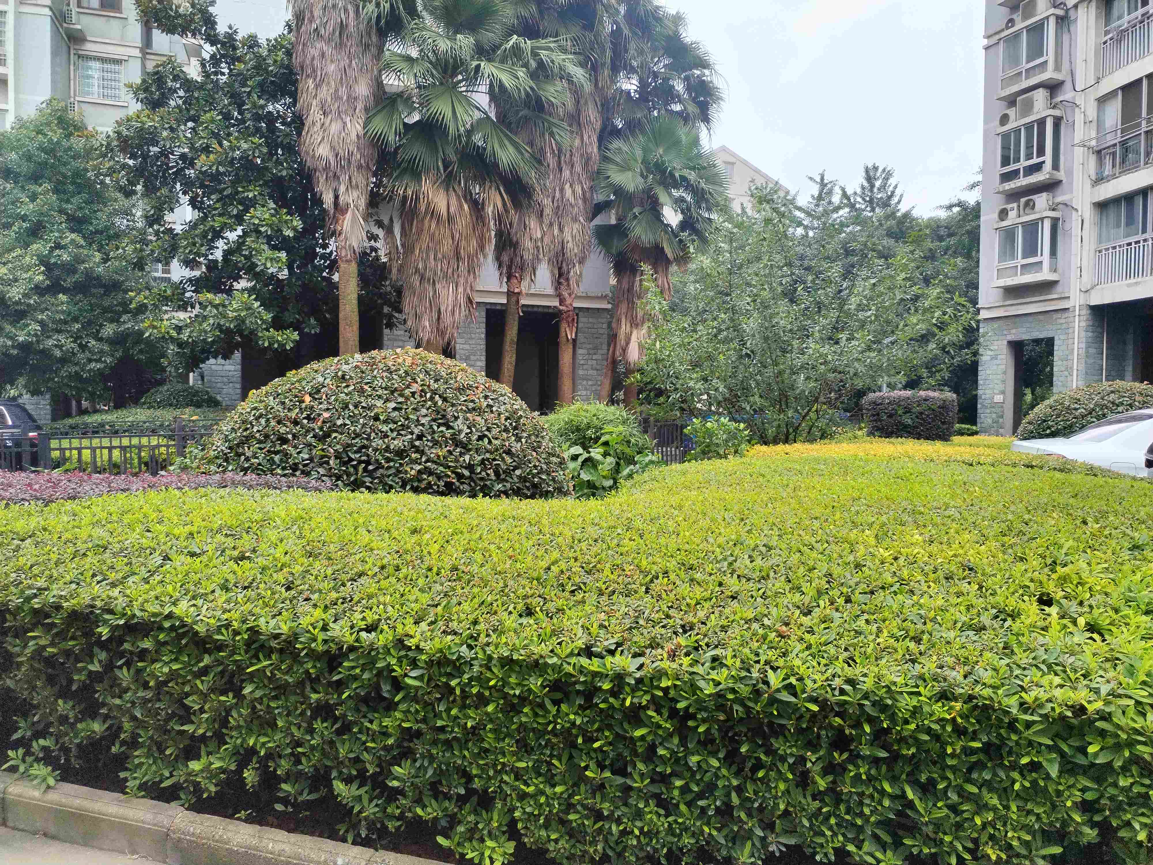 常德物業(yè)管理,物業(yè)企業(yè),陽光物業(yè)